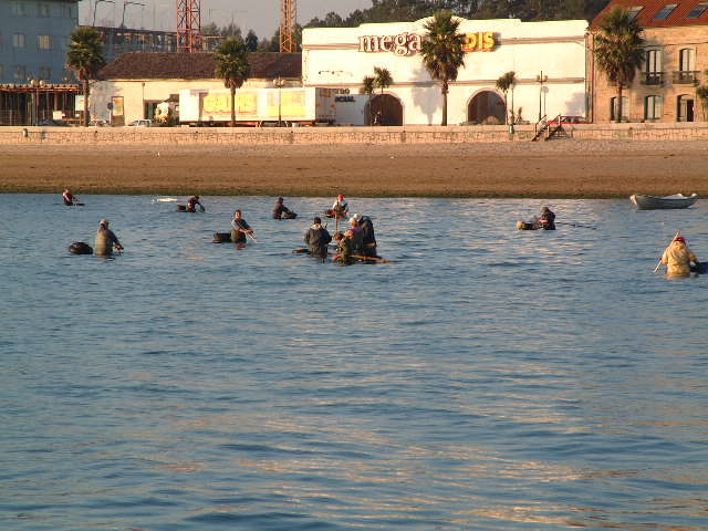 
We woke up to the sight of people collecting cockles in the Ria de Arosa.