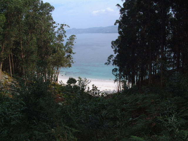 
The Isla de Cies was lovely...