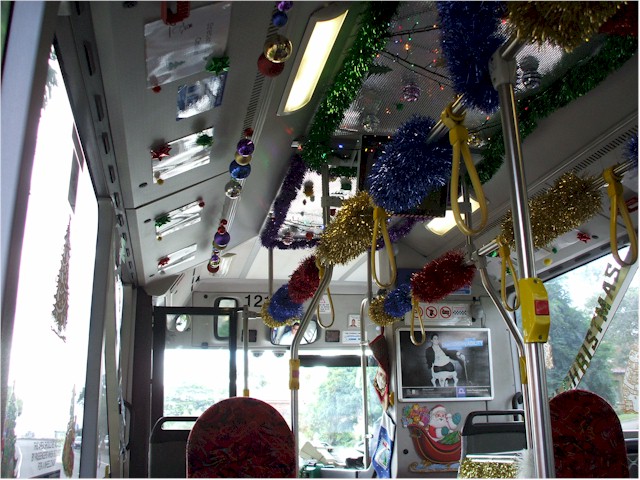 And take a trip to Sydney for New Year's Eve.  One of the Sydney buses decorated for Christmas!
