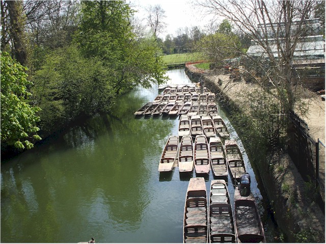 
The punts ready for hire...
