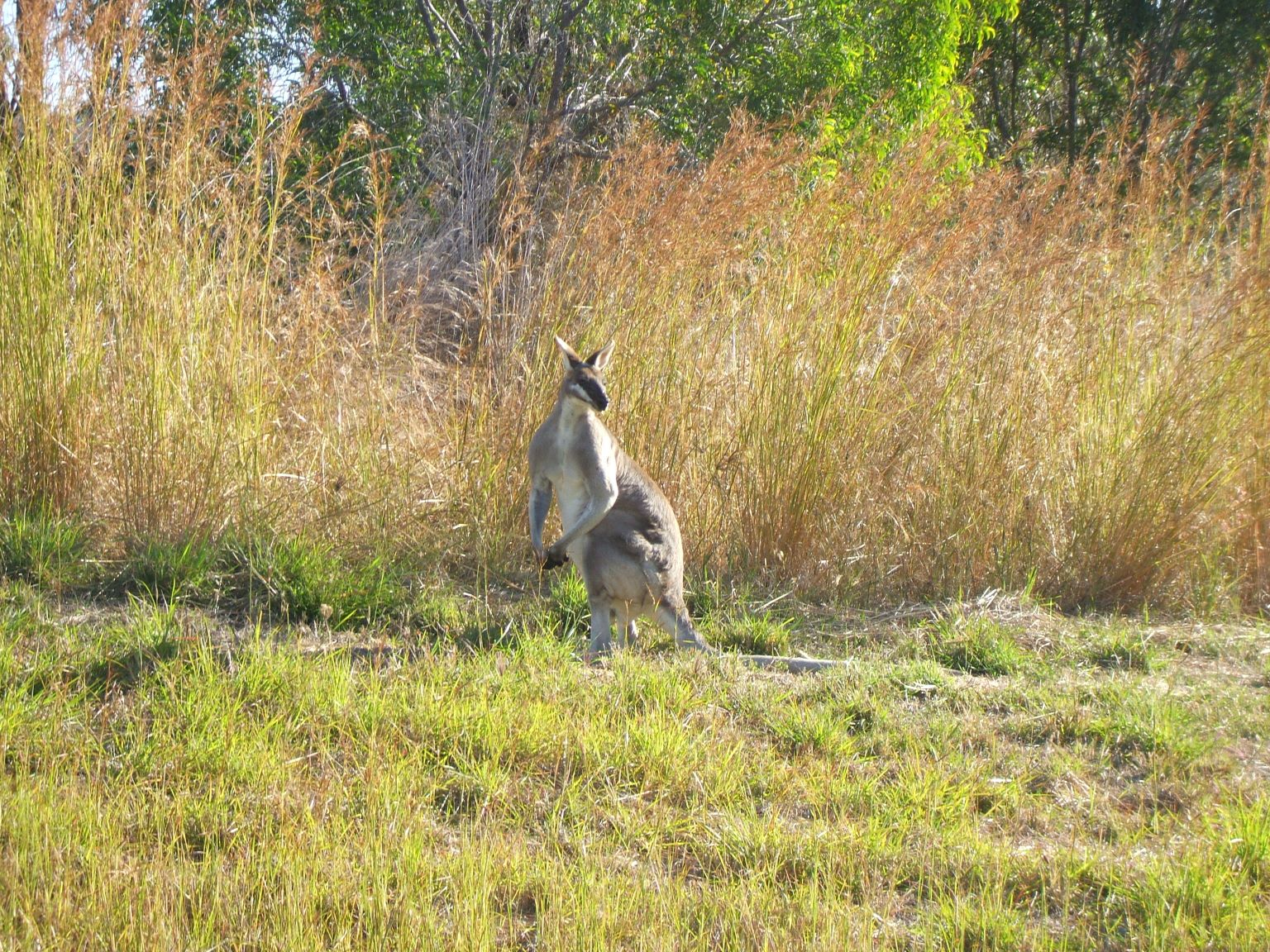 Their home is out of town and the wildlife was great.
