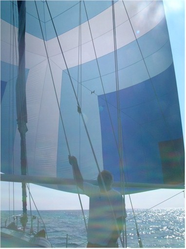En route from Nazare to Caiscais - we raise the spinnaker for the first time!