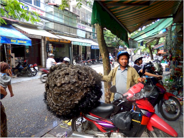 
This man was delivering toilet brushes to the brush selling shop!
