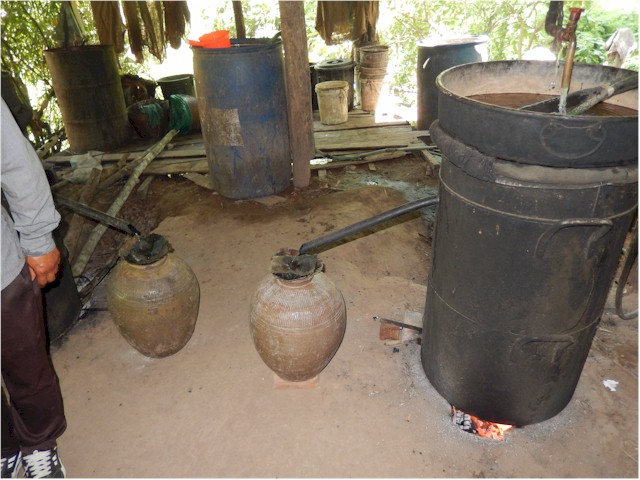 ... and a trip to a hill tribe which distils whisky and rice wine...
