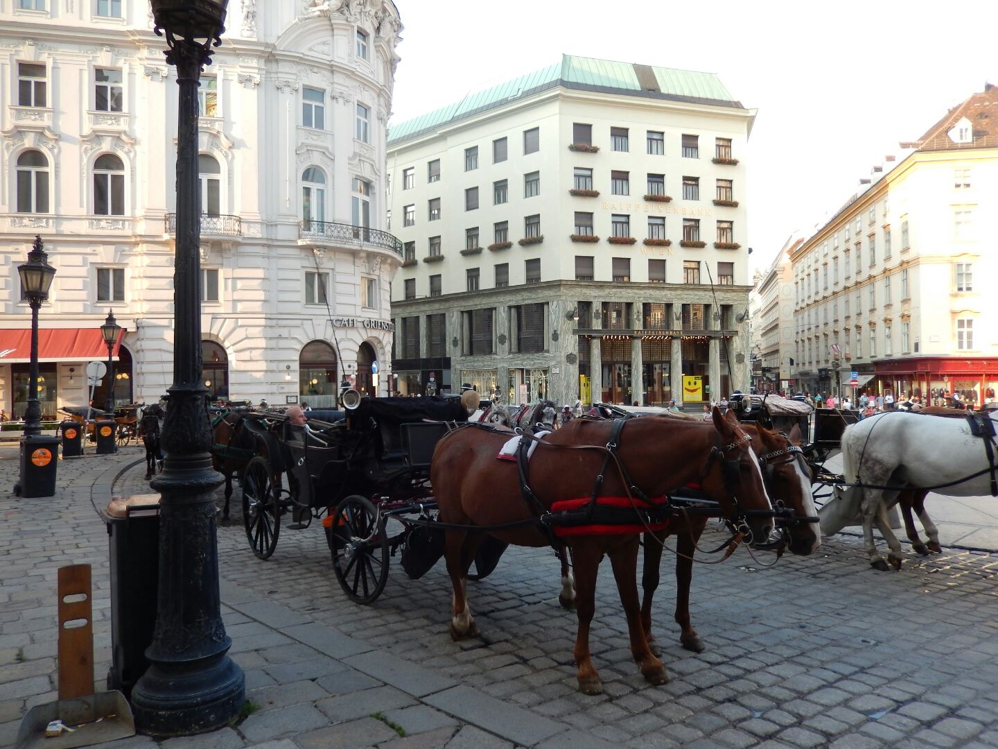 Horse and carriage.
