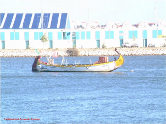 A traditional fishing boat.
