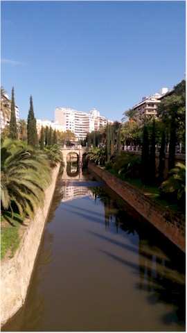 palma oct 16 002