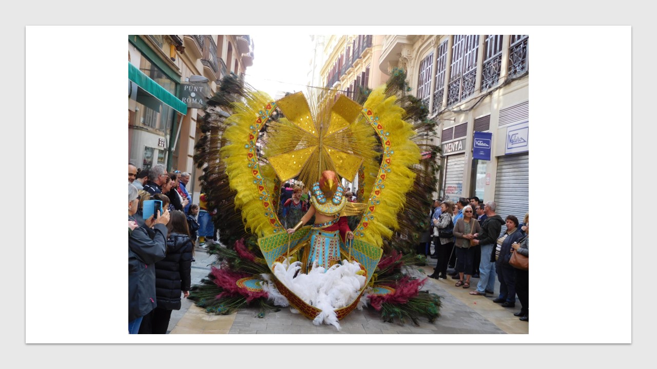 malaga carnival (8)