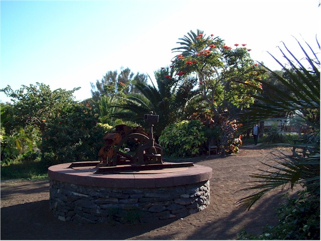 Isla la Gomera.